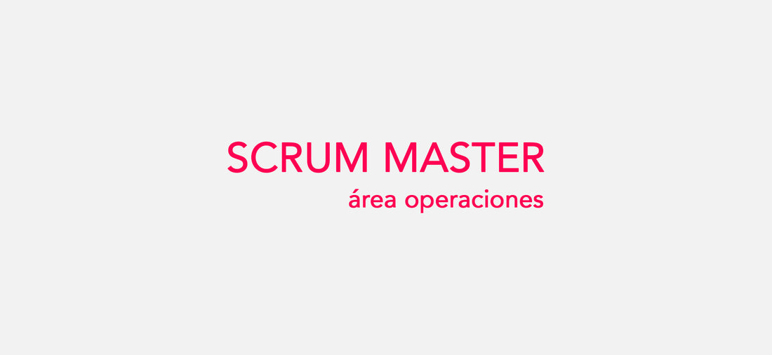 Scrum Master