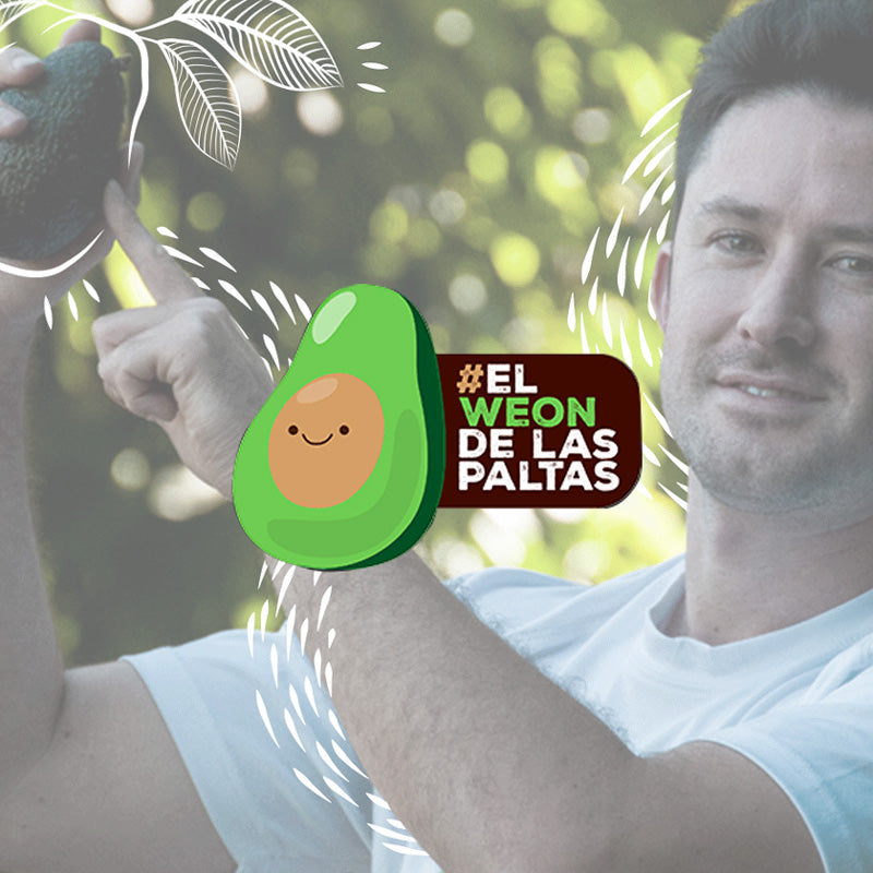 El weón de las paltas