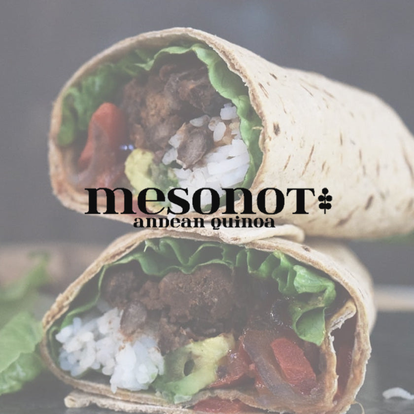 Mesonot