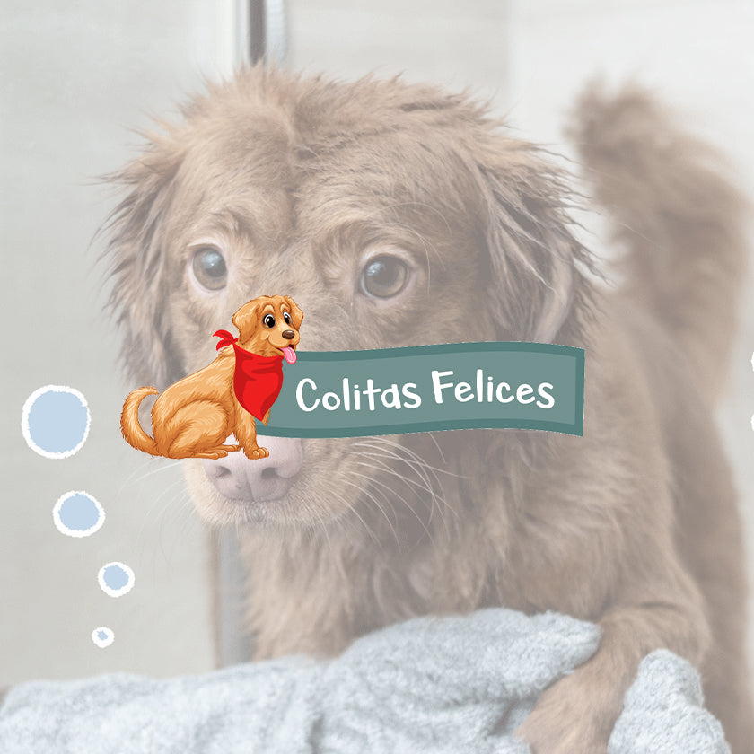 Colitas Felices