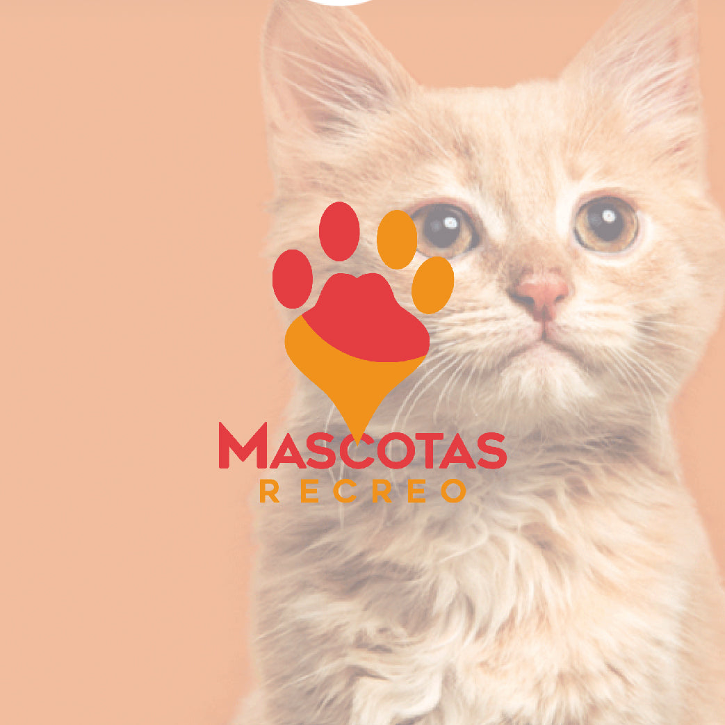 Mascotas Recreo