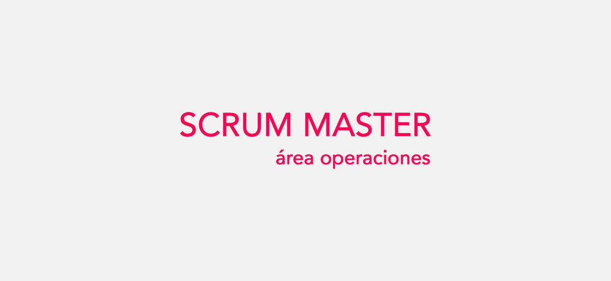 Scrum Master